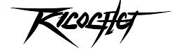 Partner 5